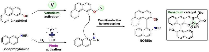 Enantioselective heterocoupling of 2-naphthylamines with 2-naphthol derivatives via cooperative photoactivation and chiral vanadium (V). Image credit: ACS Catalysis (2025). DOI: 10.1021/acscatal.5c05038 Pioneering green chemistry: Light and air combine to form key molecules for future medicines