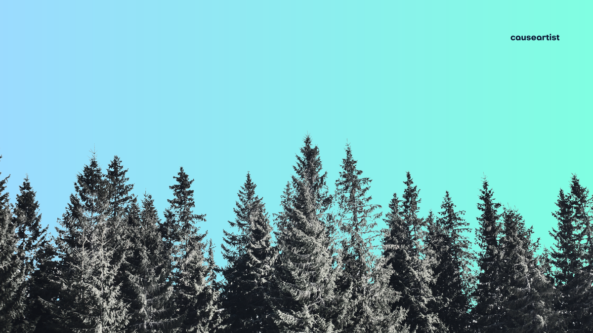 Carbon Direct acquires Pachama, Impact Gift Guide and AI for Agriculture