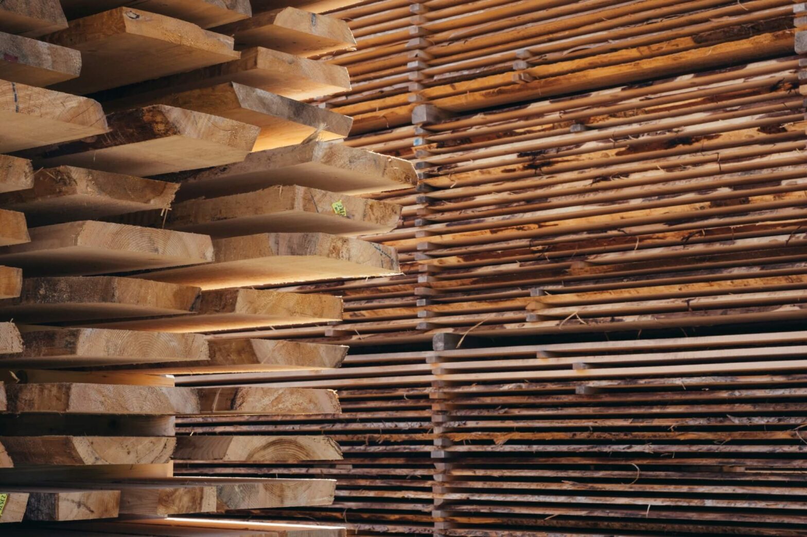 Michigan launches Mass Timber Catalyst program