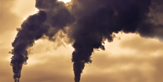 New York DEC is directed to adopt regulations to reduce emissions