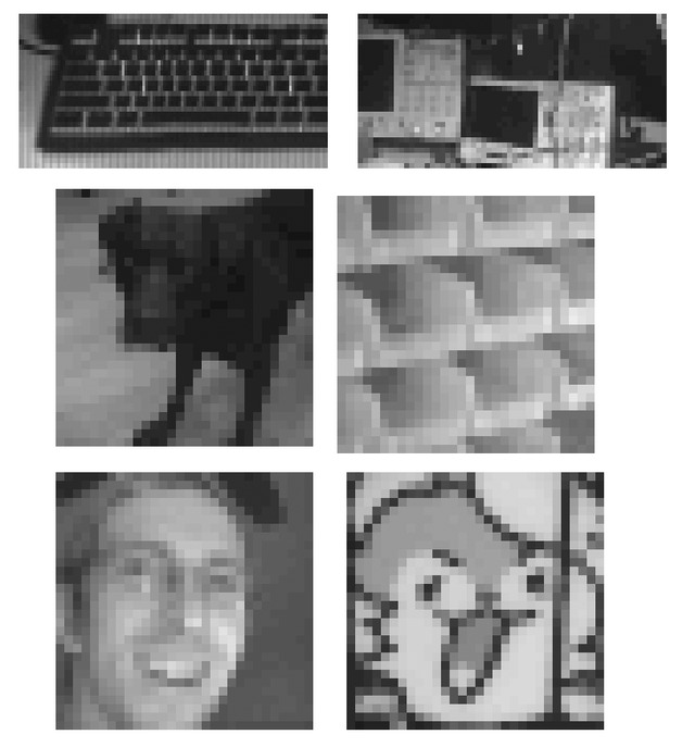 Some image examples from the DIY camera. (Image source: u/Dycus via r/electronics)