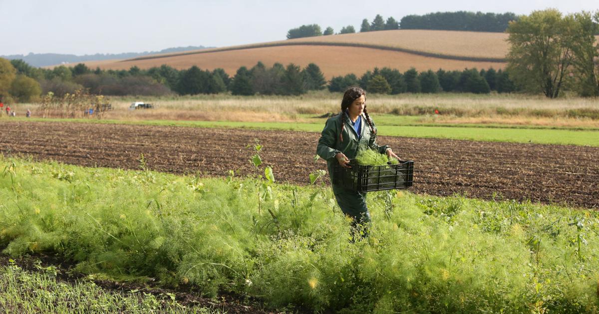 Wisconsin Must Lead the Way in Protecting Farmworkers | Guest columns